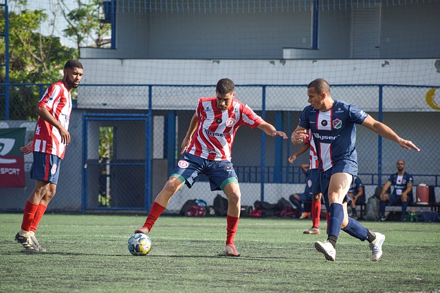 已经成为媒 已经成为媒