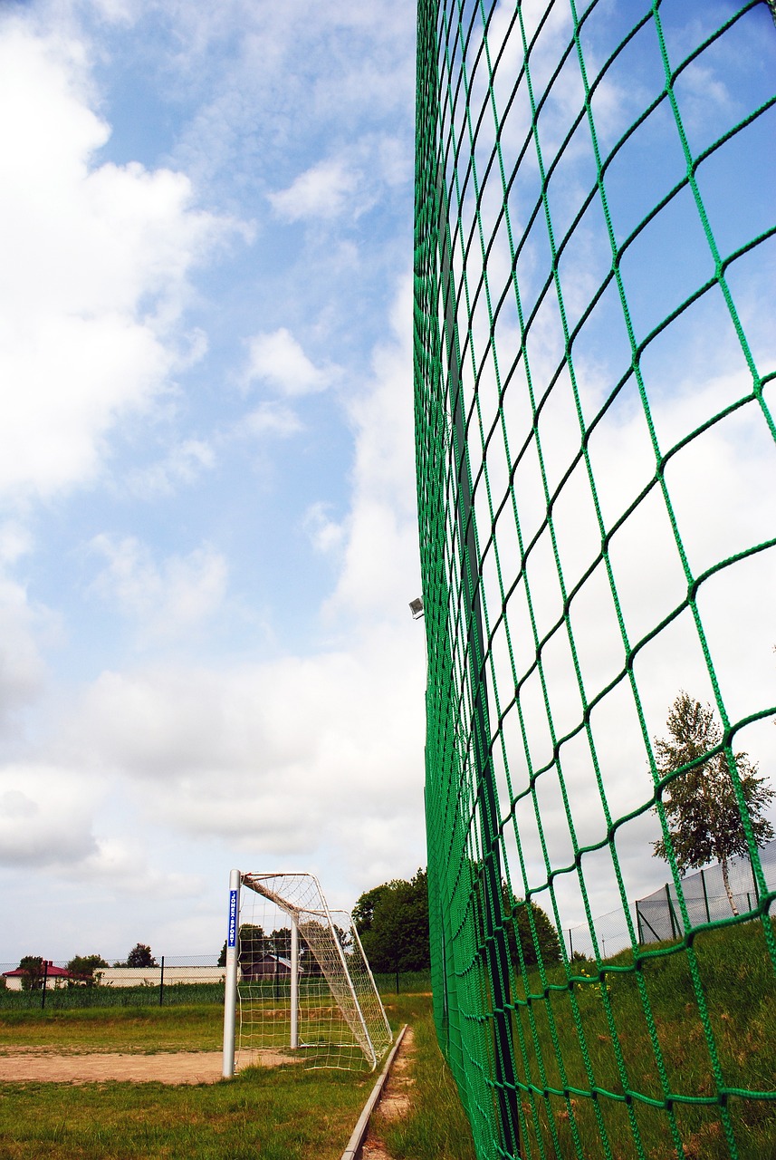 论的风口浪 论的风口浪