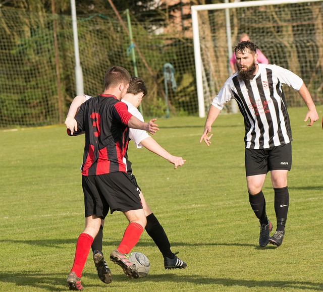 灰熊本賽季 灰熊本賽季