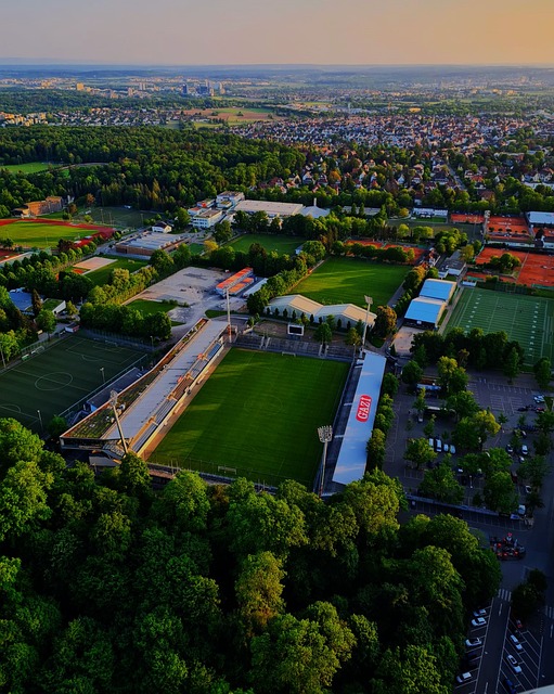 得格外珍贵 得格外珍贵