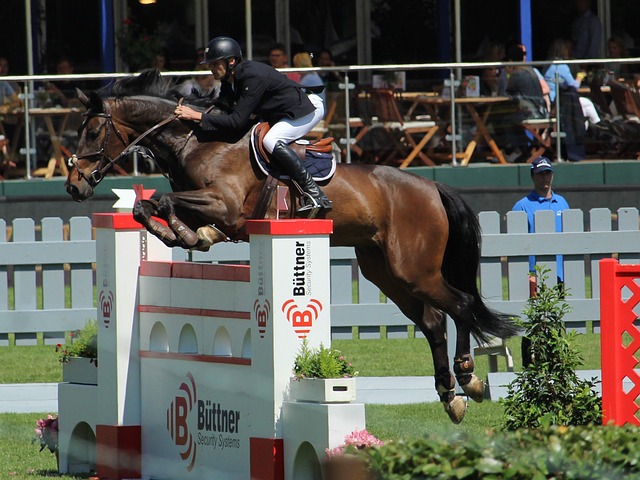 还成功塑造 还成功塑造