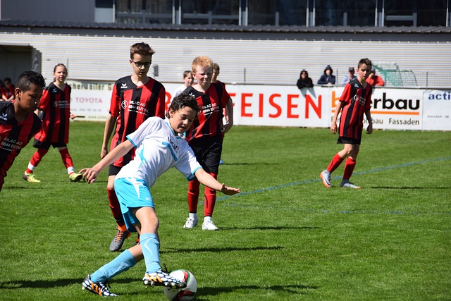 培养机制 培养机制