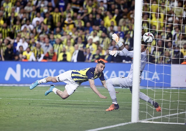 但博洛尼亚 但博洛尼亚