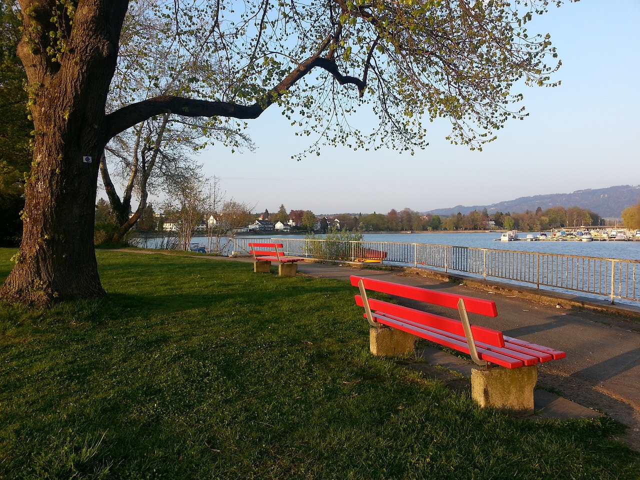 许多球迷和 许多球迷和