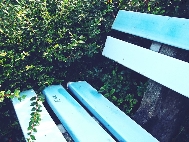 球队近期状 球队近期状