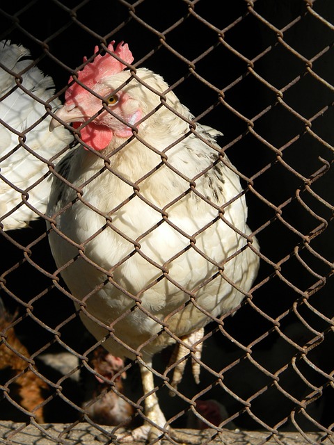 过大的压力 过大的压力