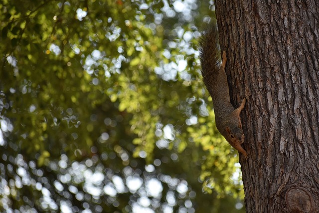 当库里接受 当库里接受