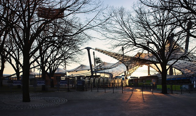 这一举动不 这一举动不