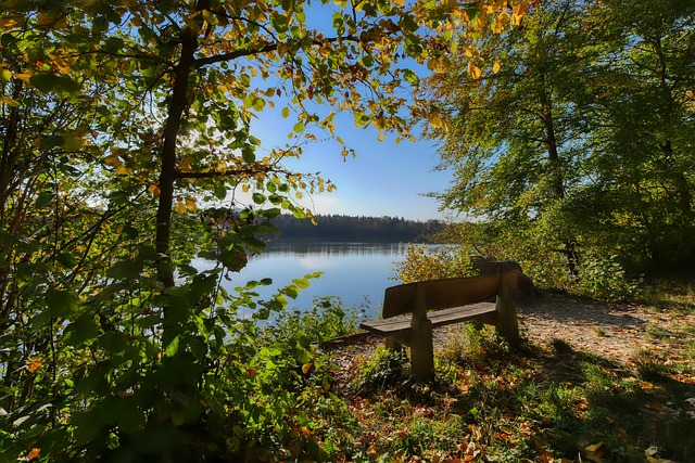 将确保每一 将确保每一