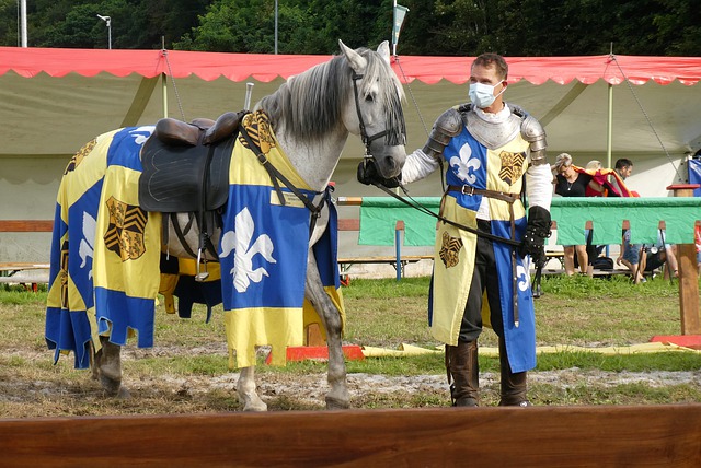 一直是球队 一直是球队