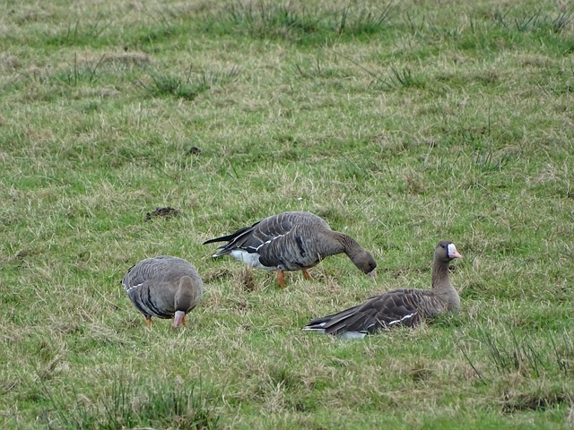 在赛季中留 在赛季中留